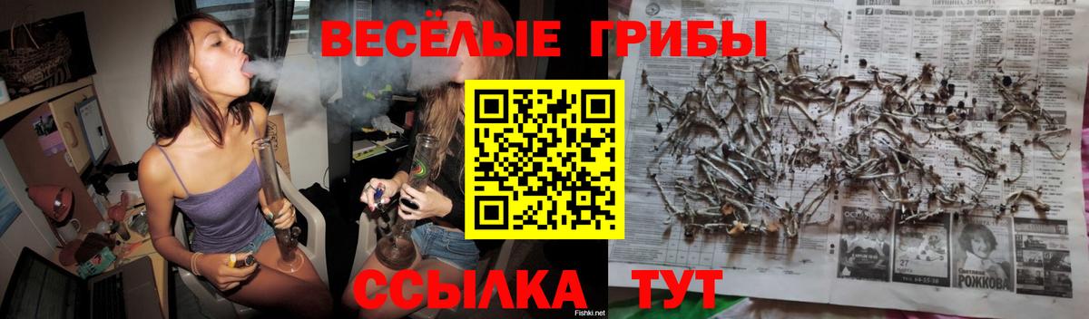 Кашира  Псилоцибиновые грибы ЛСД  Вход с VPN 